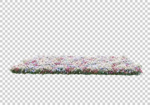 Grass Ilustración de archivo