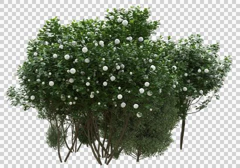 Grass Stock Illustration