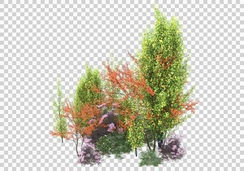 Grass Ilustración de archivo