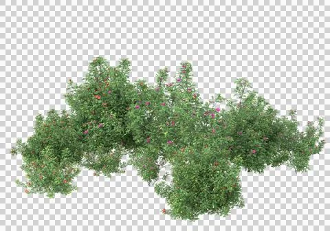 Grass Stock-Illustration