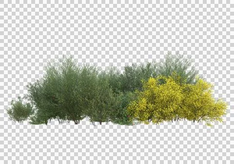 Grass Illustrazione stock