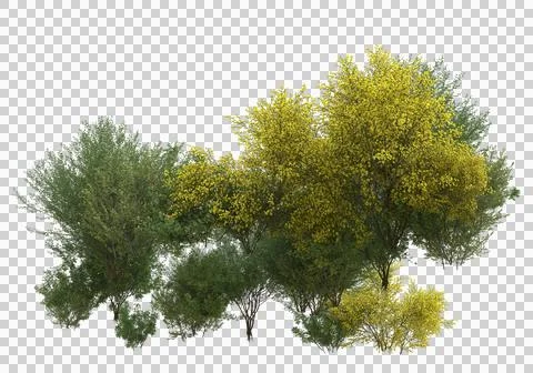 Grass Stock Illustration