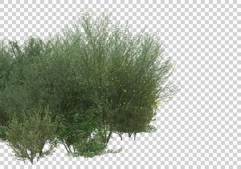 Grass Stock Illustration