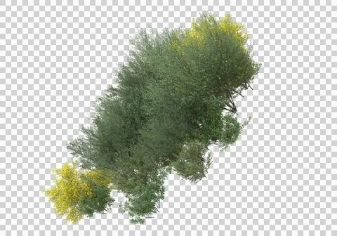 Grass Ilustración de archivo