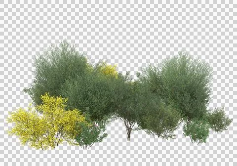 Grass Stock Illustration