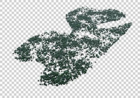 Grass Stock Illustration