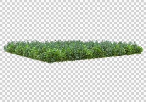 Grass Ilustración de archivo