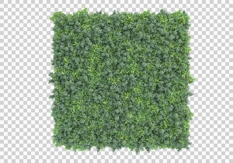 Grass Stock Illustration