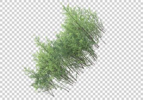 Grass Ilustración de archivo