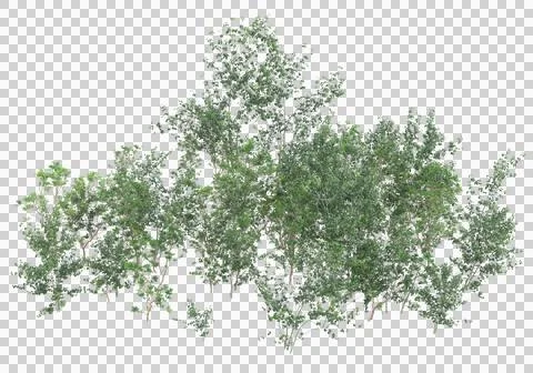 Grass Ilustración de archivo