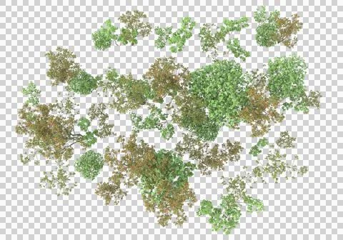 Grass Stock Illustration