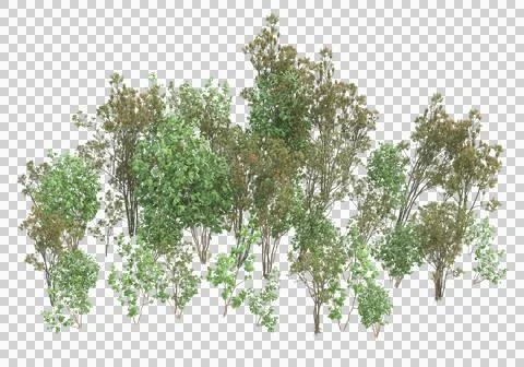 Grass Stock-Illustration