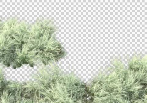 Grass Ilustración de archivo