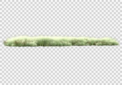 Grass Stock Illustration