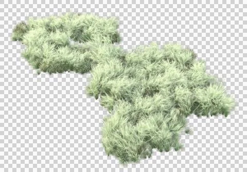 Grass Ilustración de archivo