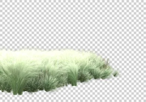 Grass Stock Illustration