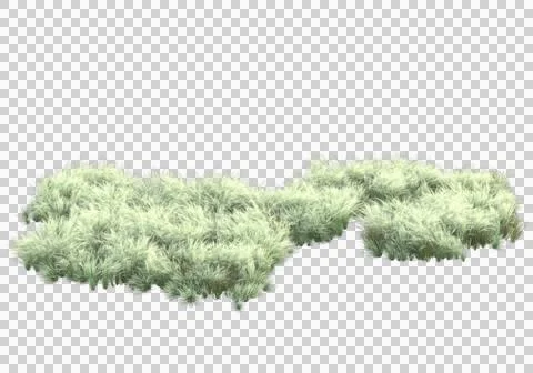 Grass Stock Illustration