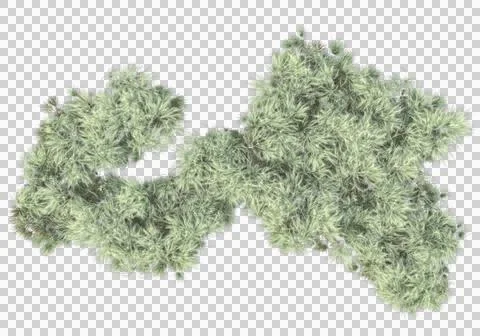 Grass Stock Illustration