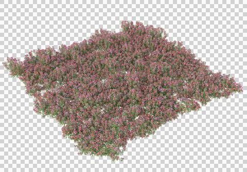 Grass Stock Illustration