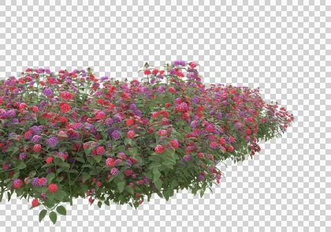 Grass Stock Illustration