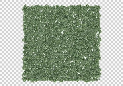 Grass Ilustración de archivo