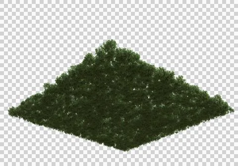 Grass Ilustración de archivo