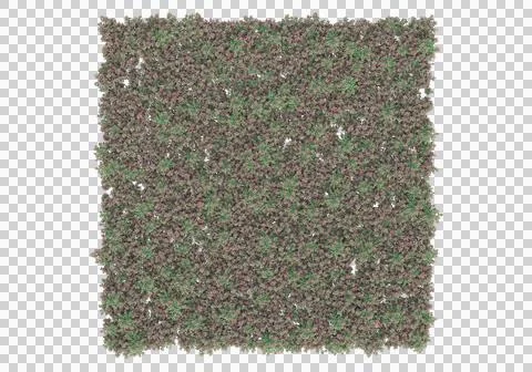Grass Ilustración de archivo