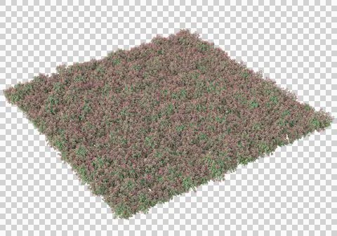 Grass Stock Illustration