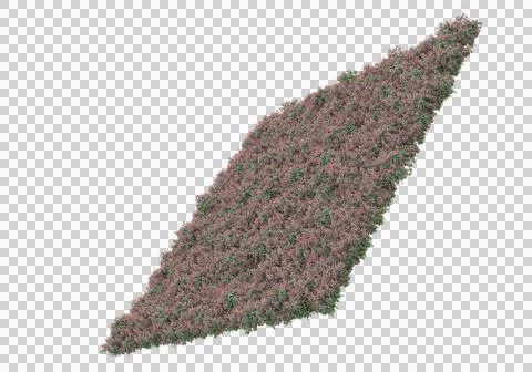 Grass Stock Illustration