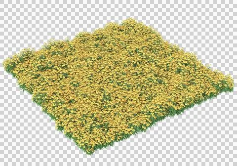 Grass Stock Illustration