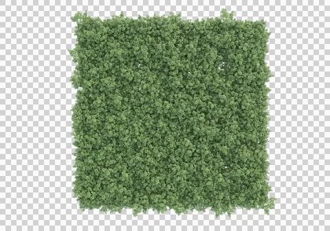Grass Ilustración de archivo