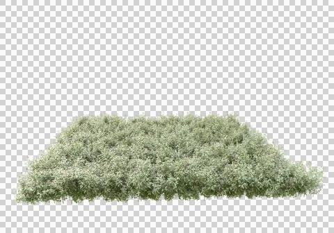 Grass Ilustración de archivo
