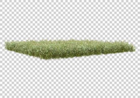 Grass Stock Illustration