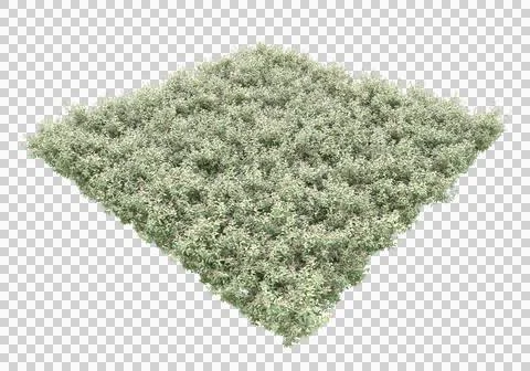 Grass Stock Illustration