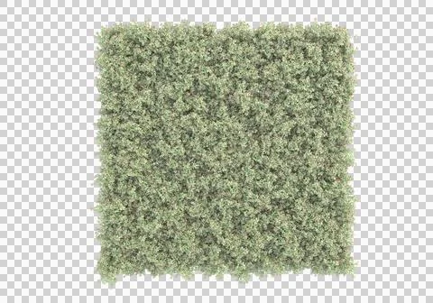 Grass Ilustración de archivo