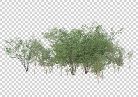 Grass Ilustración de archivo