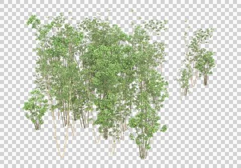 Grass Stock Illustration