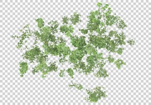 Grass Stock Illustration
