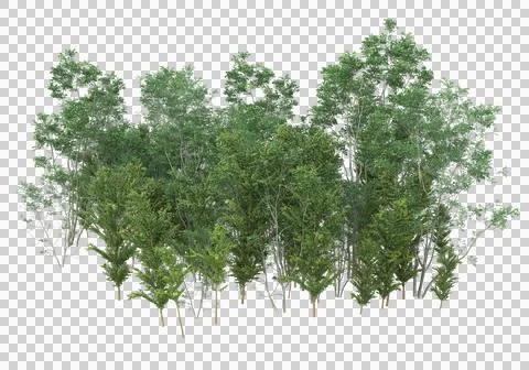 Grass Stock Illustration