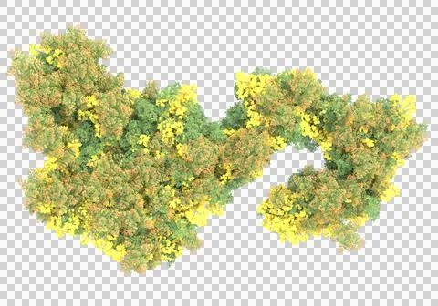 Grass Stock Illustration