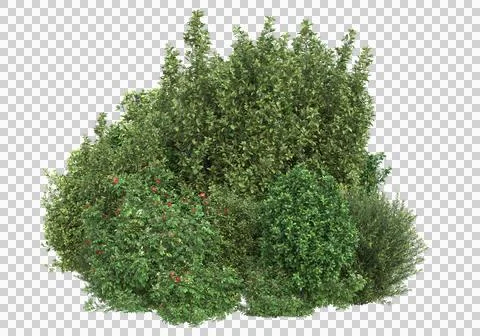 Grass Stock Illustration