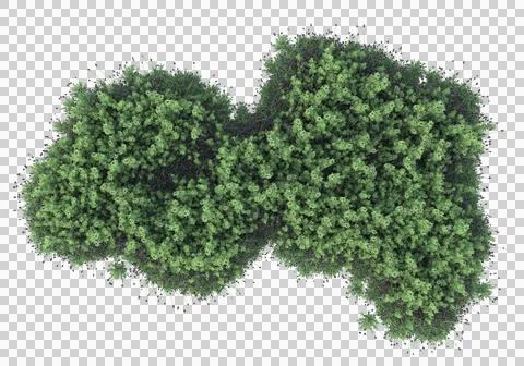 Grass Stock Illustration