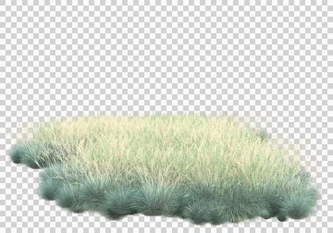 Grass Stock Illustration