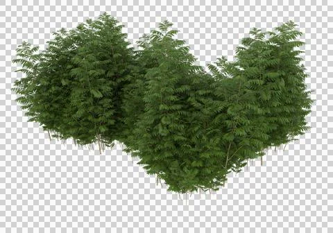 Grass Ilustración de archivo