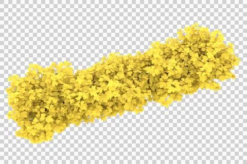 Grass Ilustración de archivo