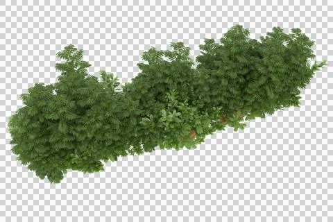 Grass Ilustración de archivo