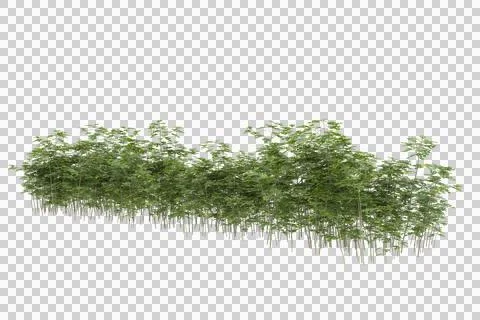 Grass Stock Illustration