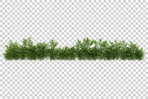 Grass Stock Illustration