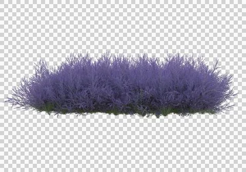 Grass Stock Illustration