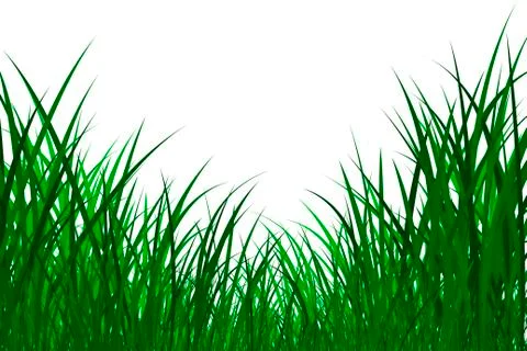 Grass illustration Иллюстрация